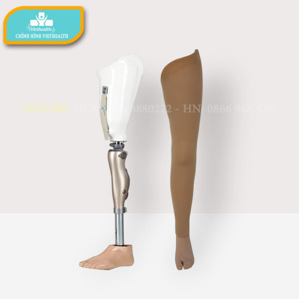 chân giả tháo khớp háng