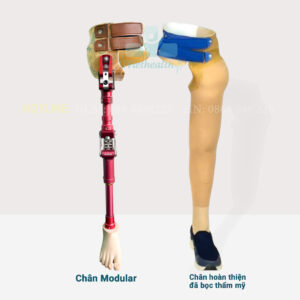 chân giả tháo khớp háng - C1 viethealth