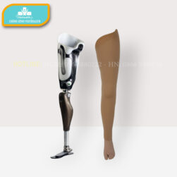 chân giả trên gối