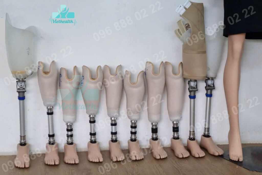 Hỗ trợ dụng cụ chỉnh hình Viethealth