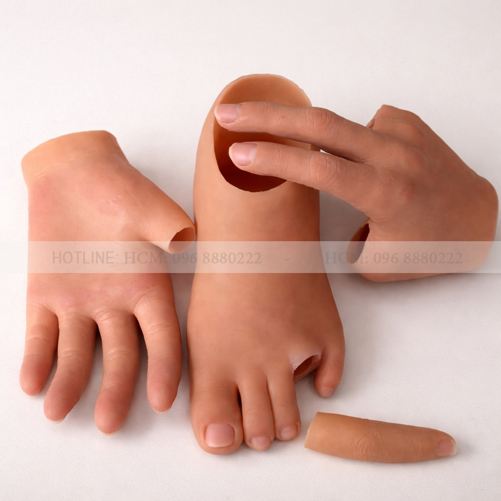 Ngon tay, chan gia Ngon tay, chan gia