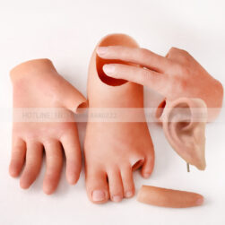 ngón tay giả silicon - tai giả thẩm mỹ