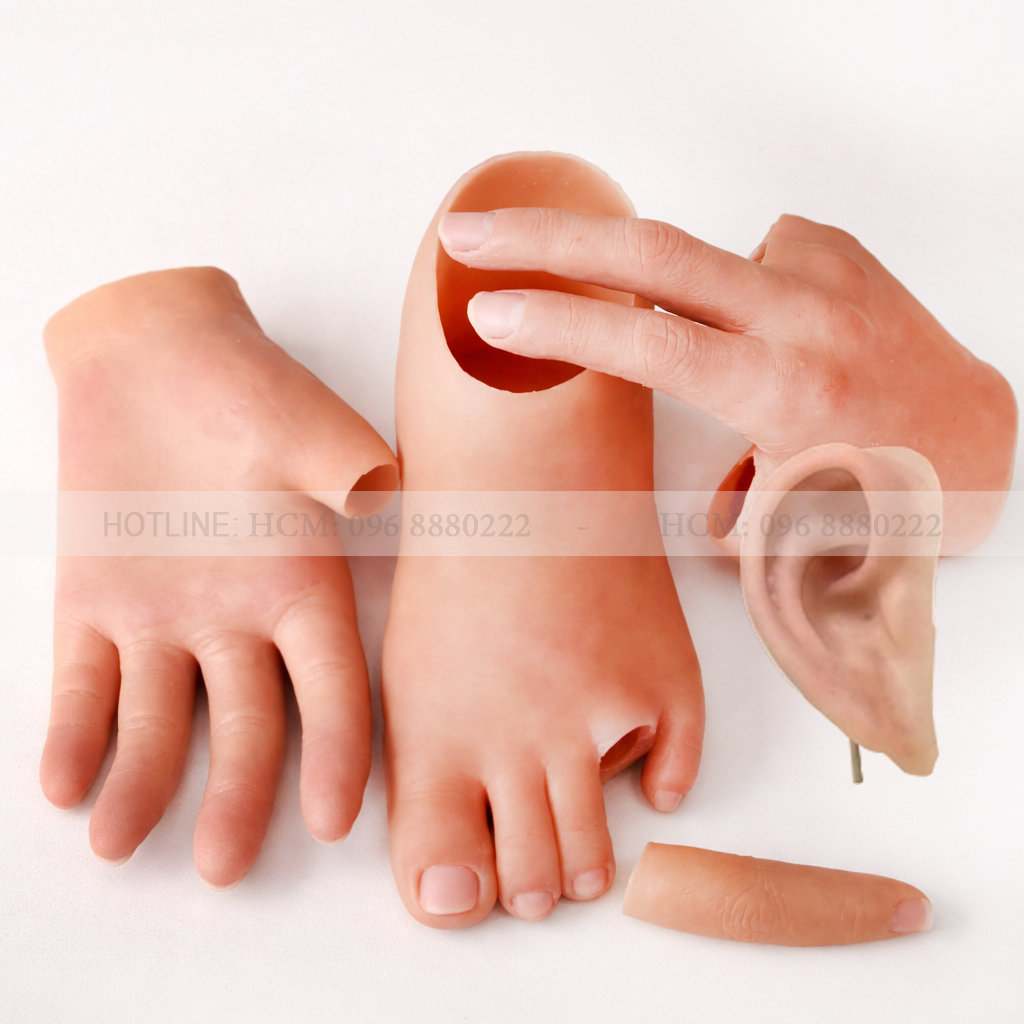 ngón tay giả silicon - tai giả thẩm mỹ ngón tay giả silicon - tai giả thẩm mỹ