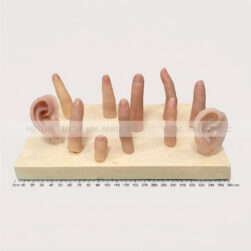 tai - ngón tay silicon