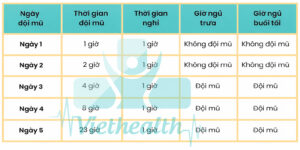 Thời Gian Đổi Mũ Chỉ Hình 3D Viethealth