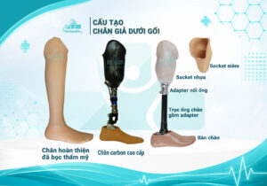 cấu tạo chân giả dưới gối giá rẻ và cao cấp