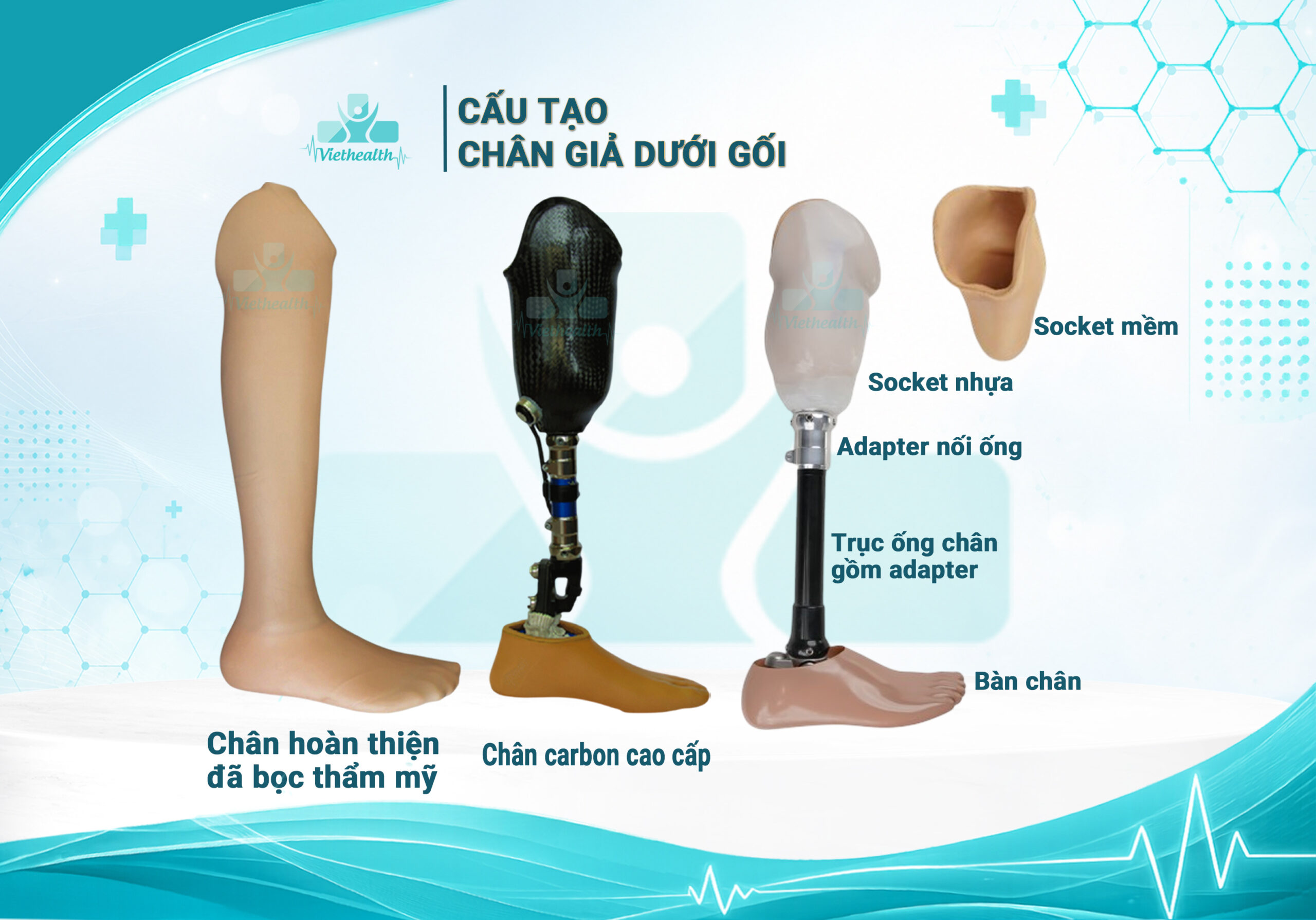 cấu tạo chân giả dưới gối giá rẻ và cao cấp